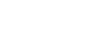 (c) Viet-institute.de